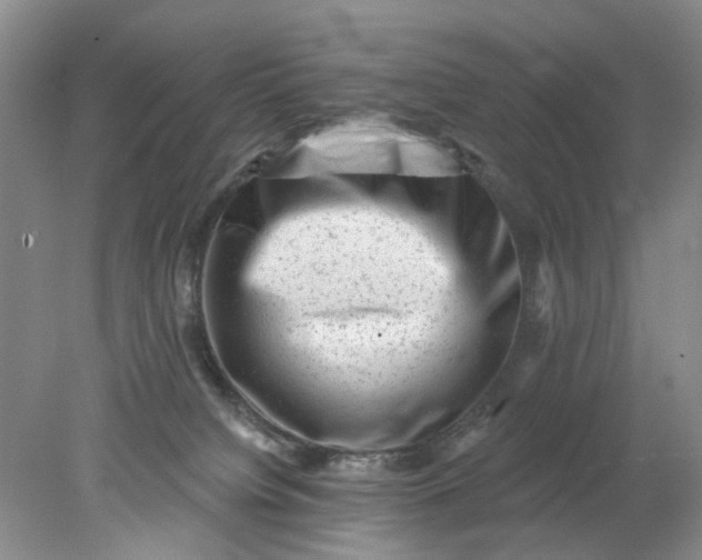 X0000078290084200611172133