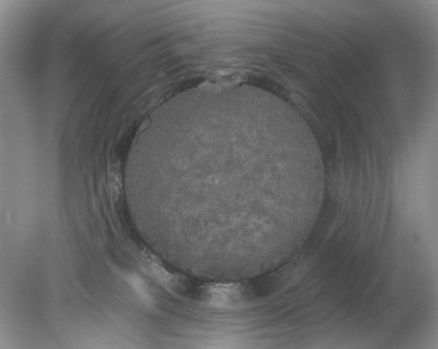 X0000078290085200611172133