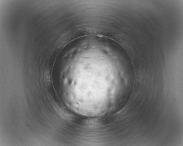 X0000078290086200611172133