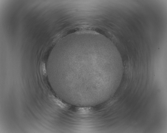 X0000078290089200611172133