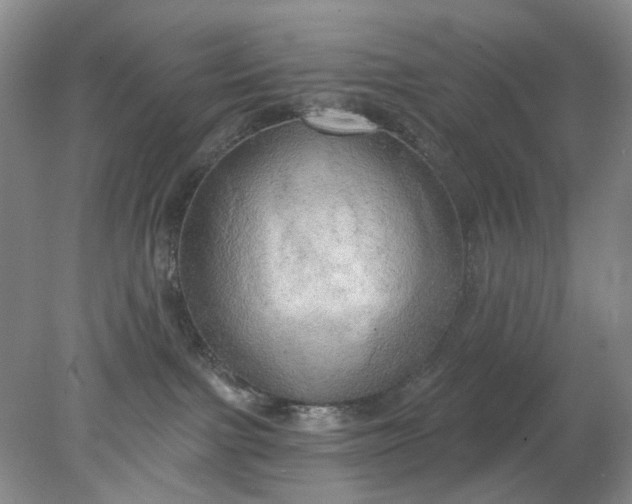 X0000078290091200611172133