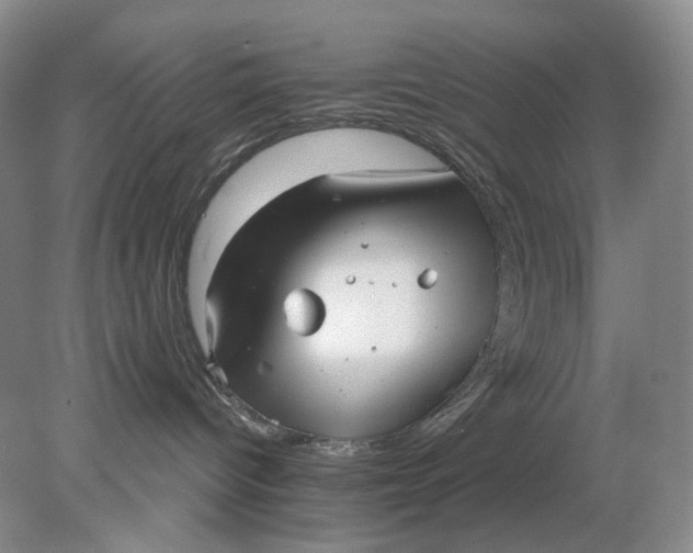 X0000078290096200611172133