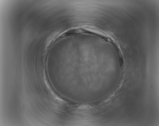 X0000078290097200611172133