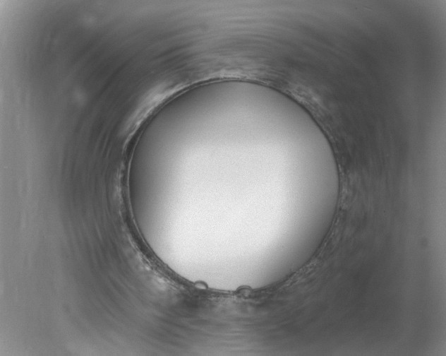 X0000078290098200611172133