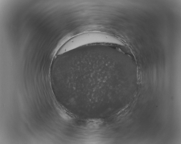 X0000078290099200611172133