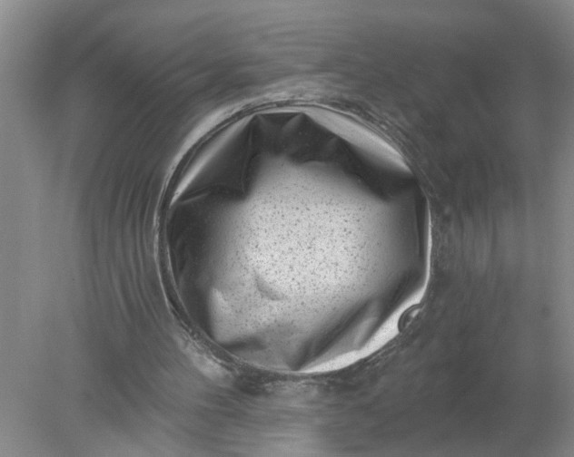 X0000078290100200611172133