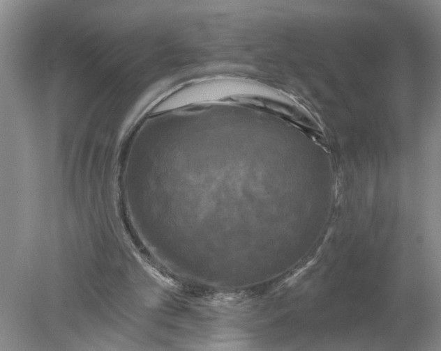 X0000078290101200611172133