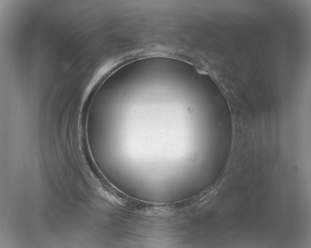 X0000078290102200611172133