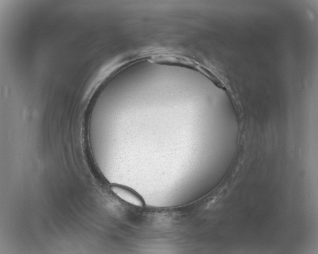 X0000078290103200611172133