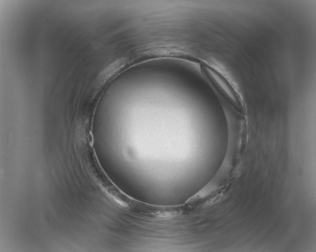 X0000078290105200611172133