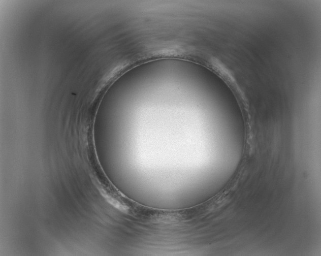 X0000078290106200611172133