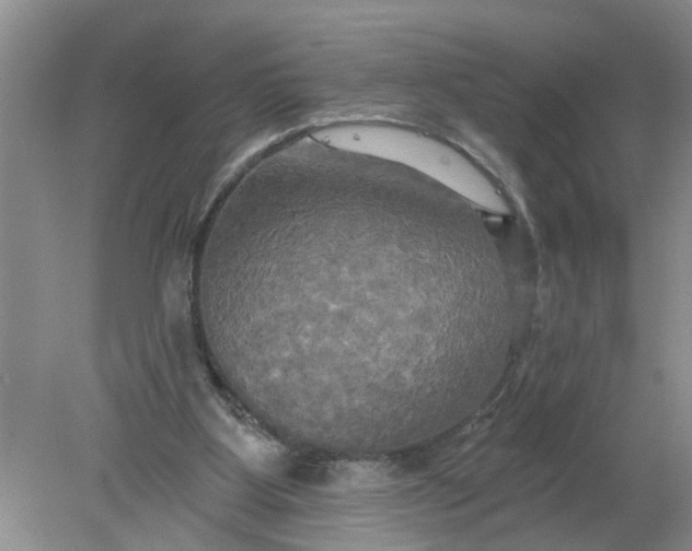 X0000078290107200611172133