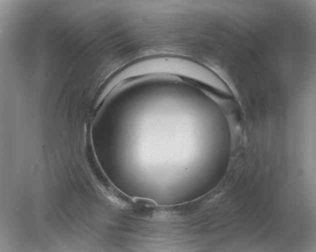 X0000078290109200611172132