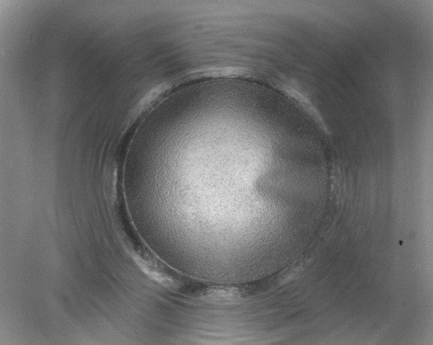 X0000078290110200611172132