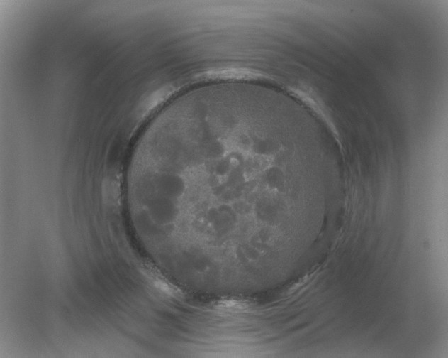 X0000078290111200611172132