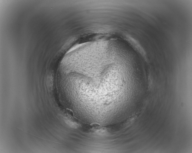 X0000078290113200611172132