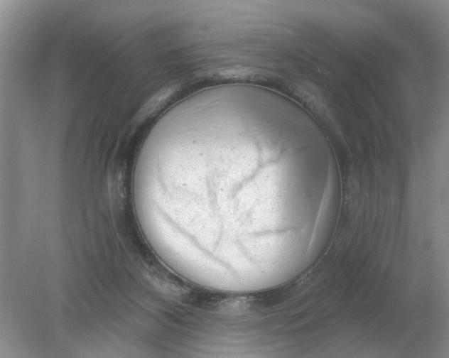 X0000078290116200611172132