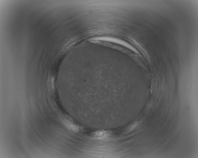 X0000078290117200611172132