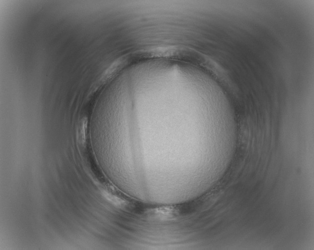 X0000078290118200611172132