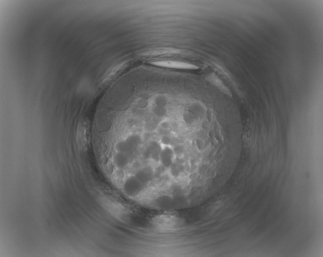 X0000078290119200611172132