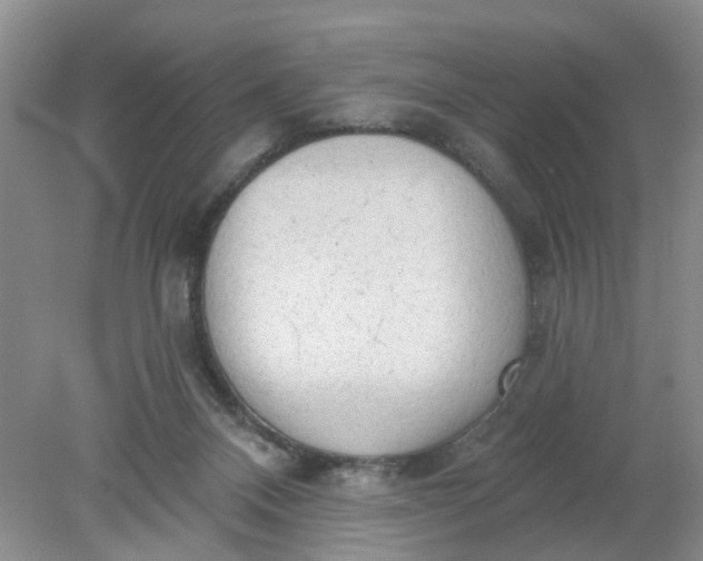 X0000078290120200611172132