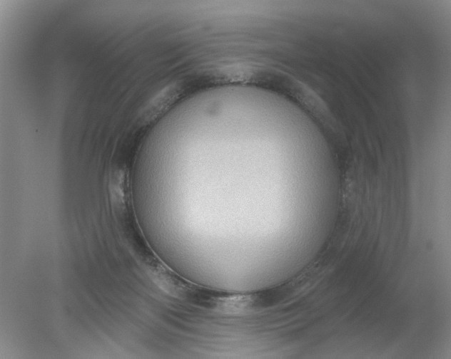 X0000078290122200611172132