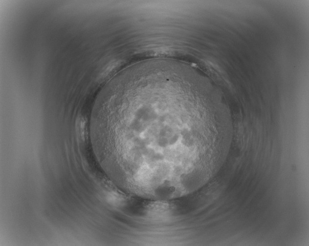 X0000078290123200611172132