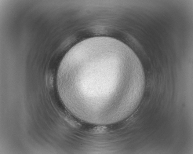 X0000078290124200611172132