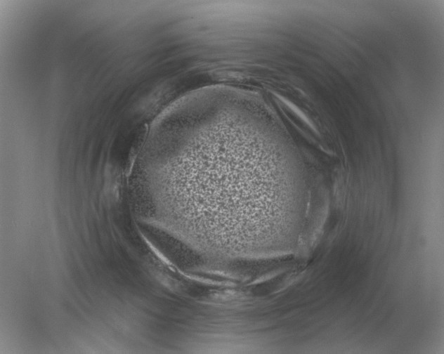 X0000078290125200611172132