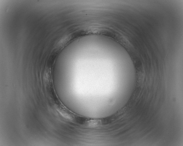 X0000078290126200611172132