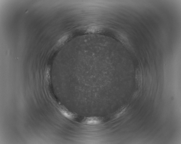 X0000078290127200611172132