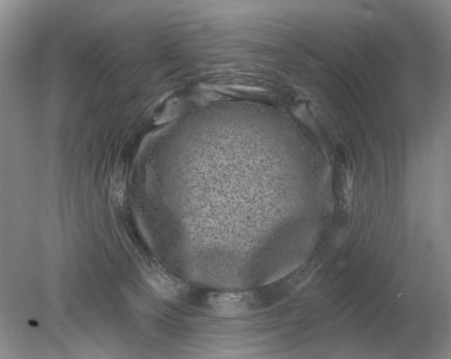 X0000078290129200611172132