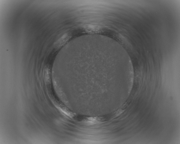 X0000078290130200611172132