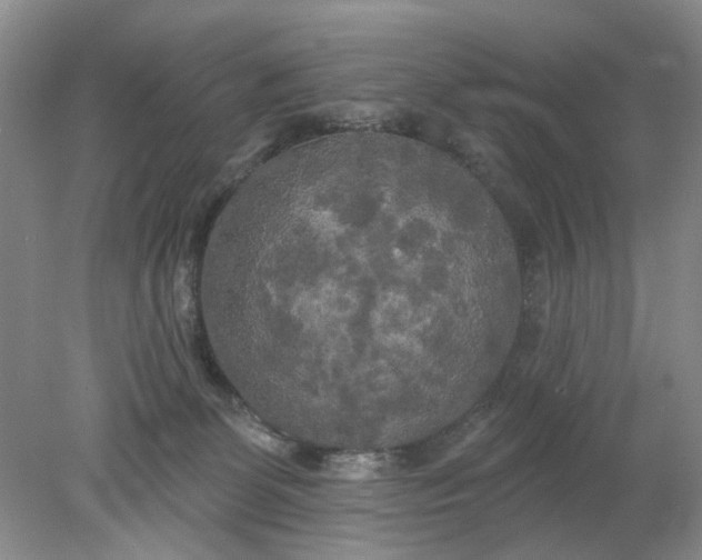 X0000078290131200611172132