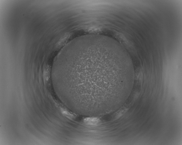 X0000078290133200611172132