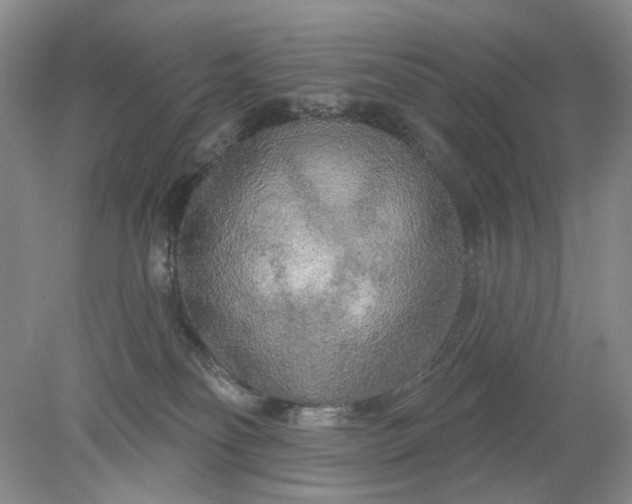 X0000078290134200611172132