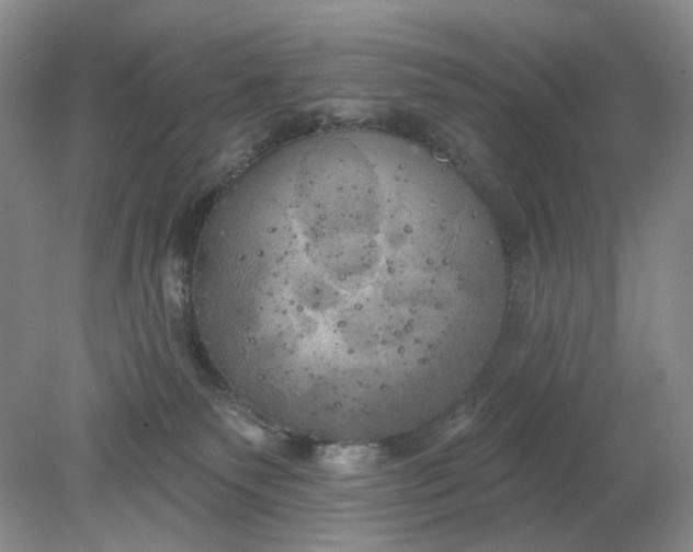 X0000078290135200611172132