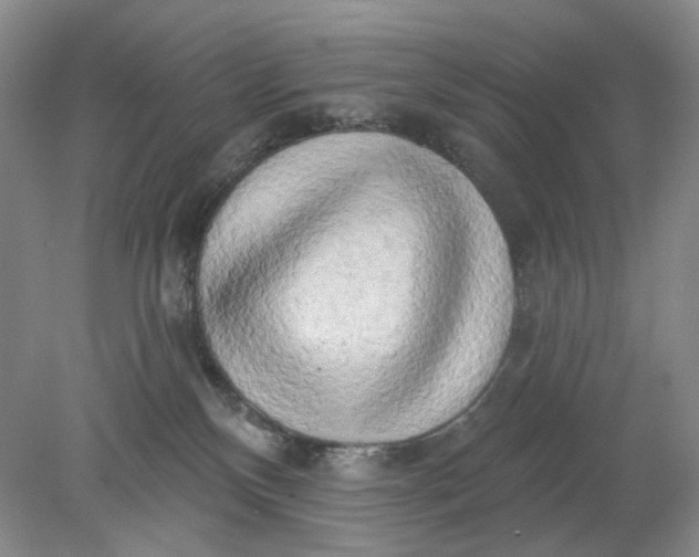 X0000078290136200611172132