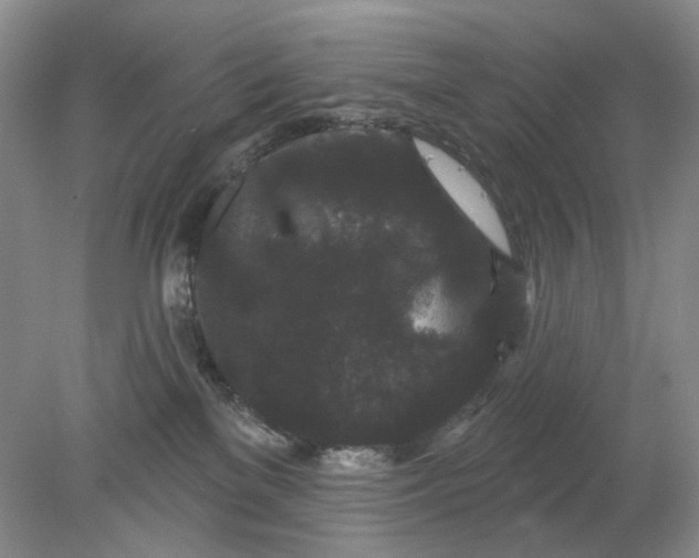 X0000078290137200611172132