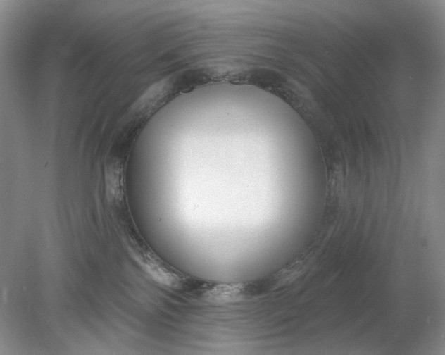 X0000078290138200611172132