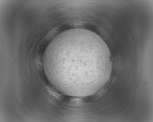 X0000078290140200611172132