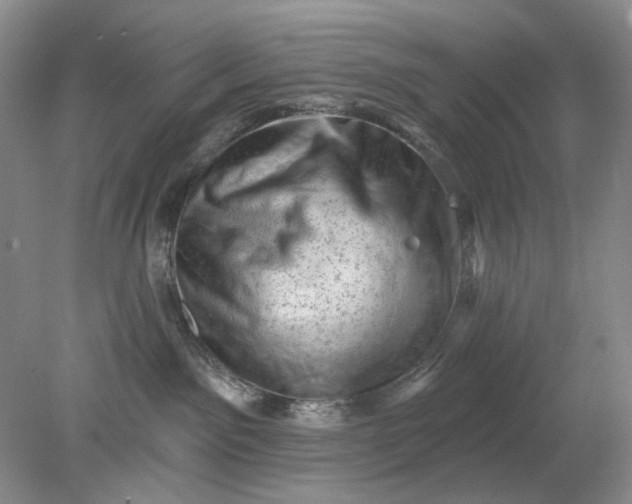 X0000078290141200611172132