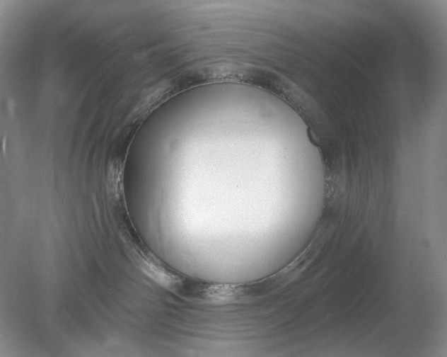 X0000078290142200611172132