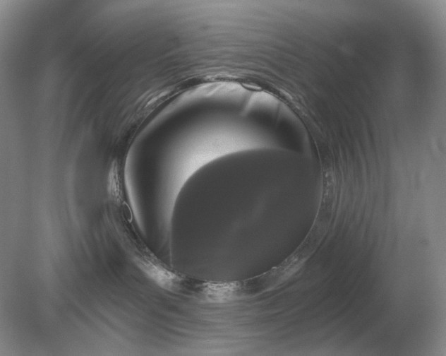 X0000078290143200611172132