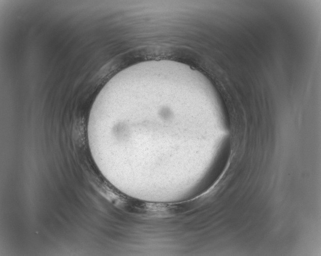 X0000078290144200611172132