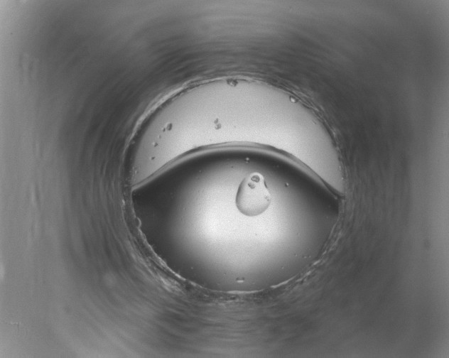 X0000078290146200611172131