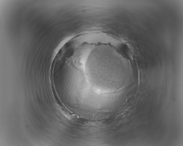 X0000078290147200611172131