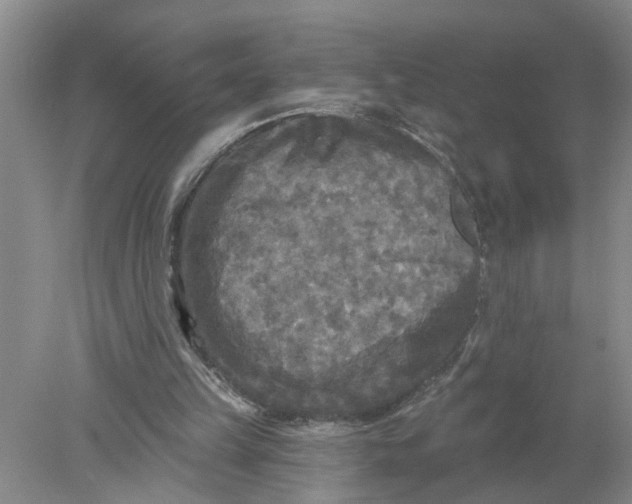 X0000078290149200611172131