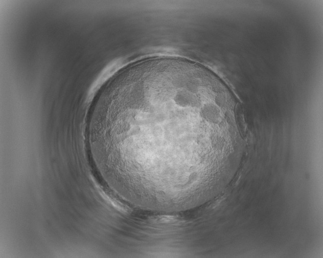 X0000078290151200611172131