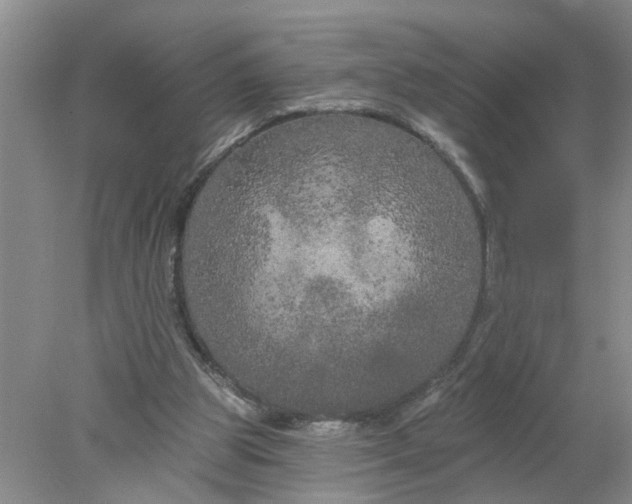 X0000078290153200611172131